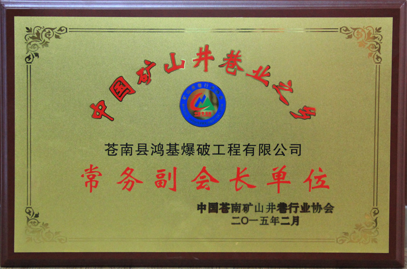 2015年2月常务副会长单位（中国苍南矿山井巷行业协会）